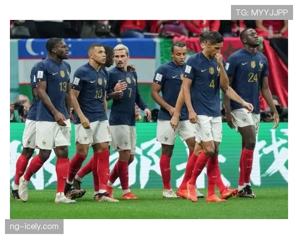 法国世界杯阵容构建模式值得借鉴吗